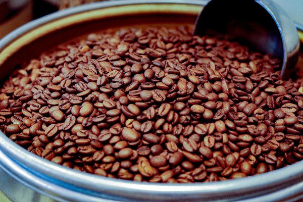 Find your perfect wholesale coffee supplier today